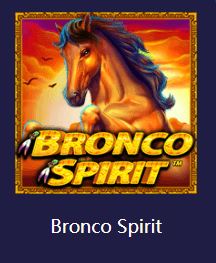 Bronco spirit