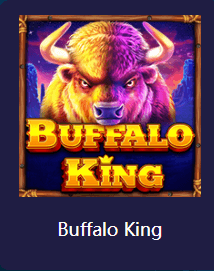 buffula king